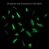 Ice Fishing Lure Kit Glowing Paint Jigs, 24pcs assorted crappie/panfish/perch jigs - Bassdash