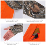 #color_blaze-orange-autumn-forest
